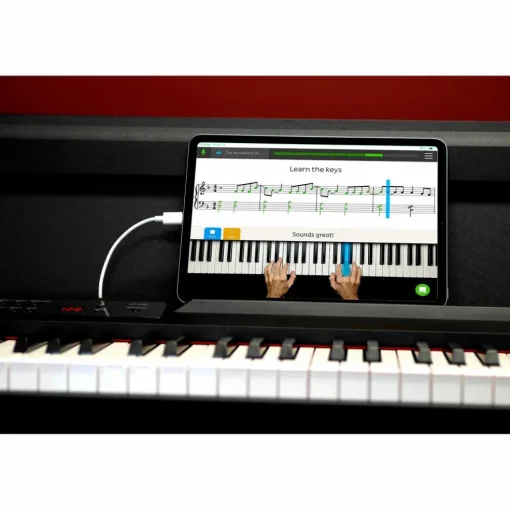 KORG LP-380 Home Digital Piano Black