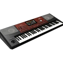 KORG Pa700 Professional Arranger 61-Key With Touchscreen and Speakers Black