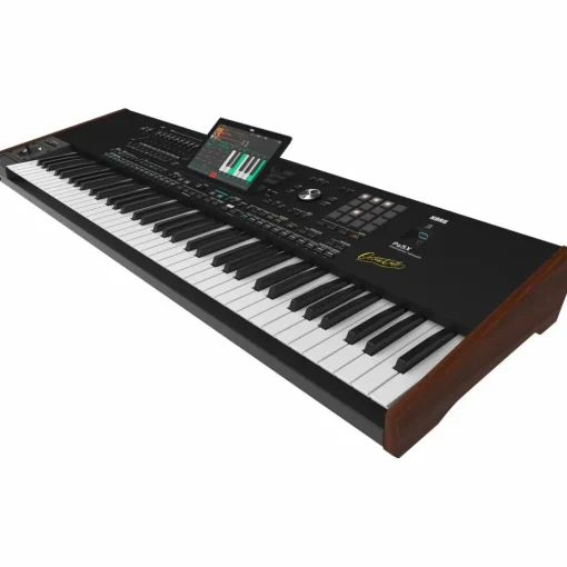 KORG Pa5X Oriental Professional Arranger 76 Key