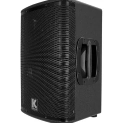 Kustom PA KPX10 Passive Monitor Cabinet