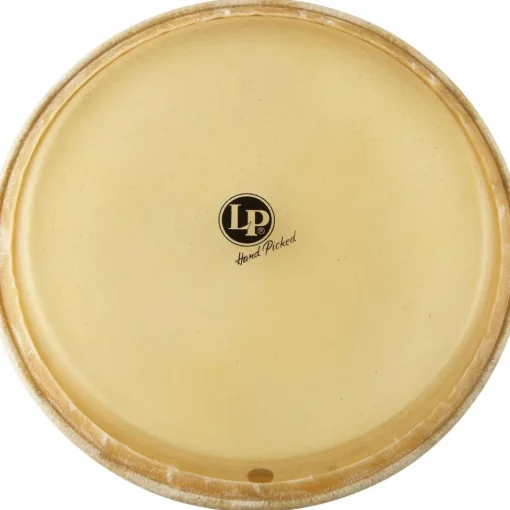LP Conga Head 12.5 in.