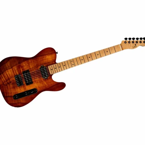 LsL Instruments Bad Bone 2 DX Electric Guitar Brown Burst