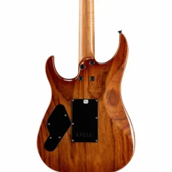 LsL Instruments XT4-DX 24-Fret Exotic HSH Koa Top Electric Guitar Faded Iced Tea Burst