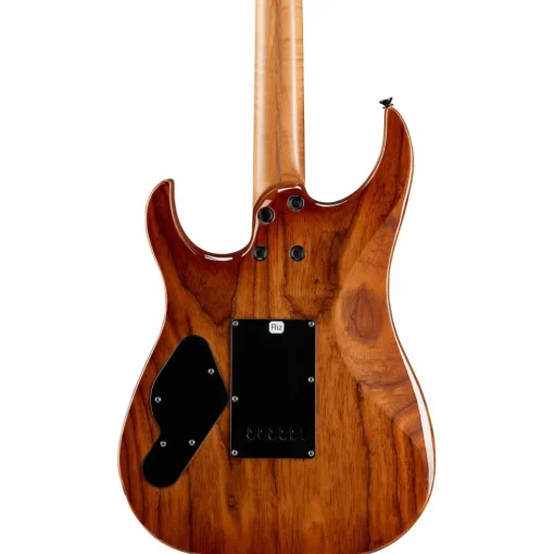 LsL Instruments XT4-DX 24-Fret Exotic HSH Koa Top Electric Guitar Faded Iced Tea Burst