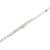 Pearl Flutes 765 Quantz Vigore Professional Series Open Hole Flute B Foot, Split E, C# Trill, D# Roller