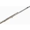 Powell-Sonare 501 Sonare Series Flute C Foot / Open Hole / Offset G / Split E