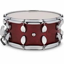 Premier Elite Maple 4-Ply Snare Drum 14 x 6.5 in. Rosewood Satin
