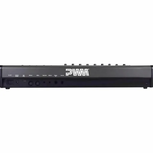 PWM Instruments Malevolent Semi-Modular Analog Synthesizer Black