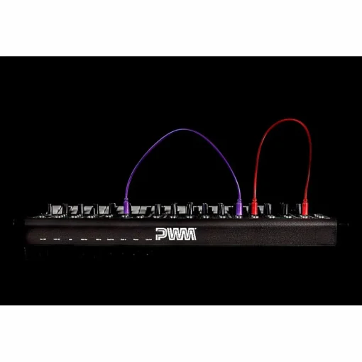 PWM Instruments Malevolent Semi-Modular Analog Synthesizer Black