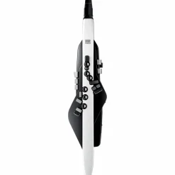 Roland Aerophone AE-20 Digital Wind Instrument