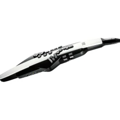 Roland Aerophone AE-20 Digital Wind Instrument