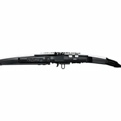 Roland Aerophone AE-20 Digital Wind Instrument