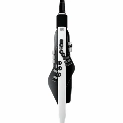 Roland Aerophone AE-20 Digital Wind Instrument