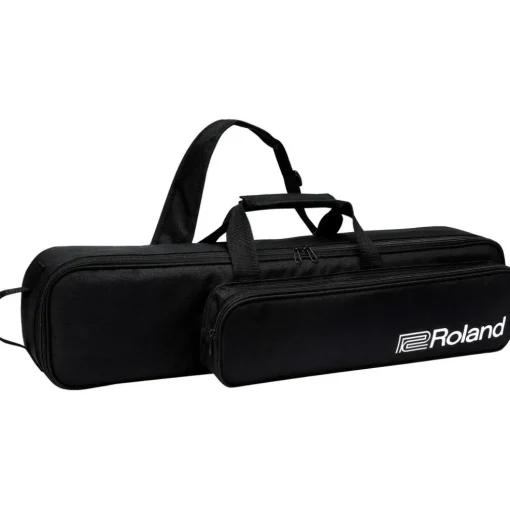 Roland Aerophone AE-20 Digital Wind Instrument