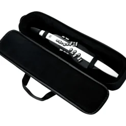 Roland Aerophone AE-20 Digital Wind Instrument
