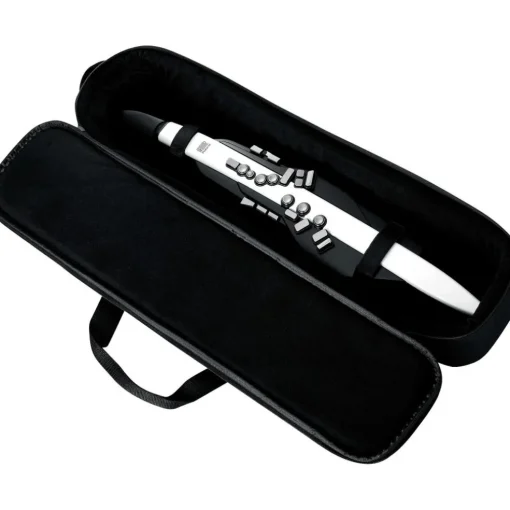 Roland Aerophone AE-20 Digital Wind Instrument