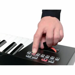 Roland E-A7 Arranger Keyboard Black