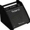 Roland PM-100 V-Drum Speaker System