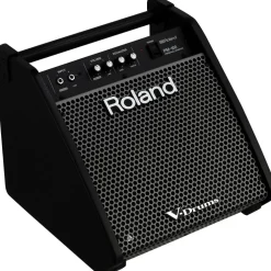 Roland PM-100 V-Drum Speaker System