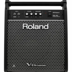 Roland PM-100 V-Drum Speaker System