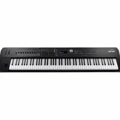 Roland RD-2000 EX Digital Stage Piano Black