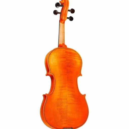 Rozanna's Violins Sunflower Delight Series Violin Outfit 4/4 Size