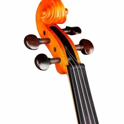 Rozanna's Violins Sunflower Delight Series Violin Outfit 4/4 Size