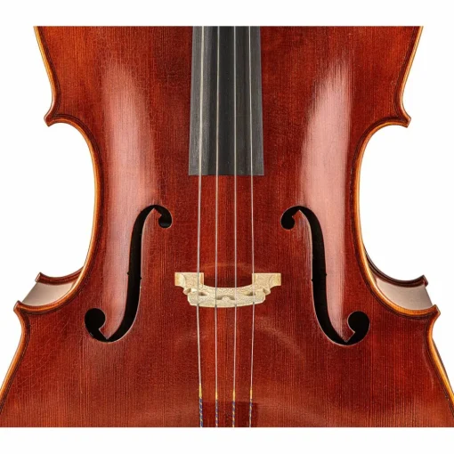 Scherl and Roth SR65 Sarabande Series Intermediate Cello Outfit 4/4