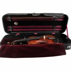 Scherl and Roth SR71 Series Professional Violin Outfit 4/4