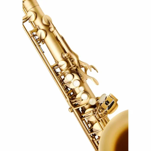Selmer Paris Reference 54 Tenor Saxophone