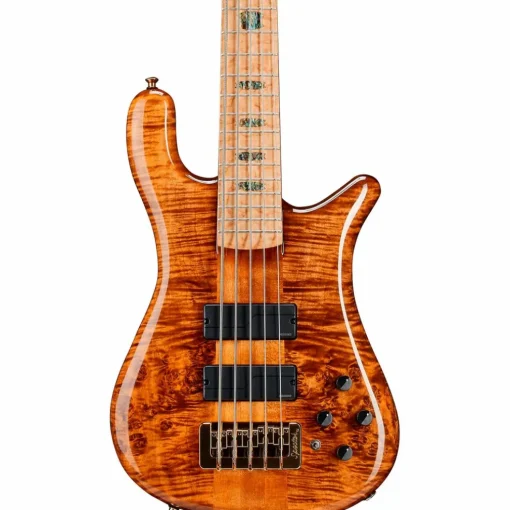 Spector NS5 Quilted Top/Fishman Electronics Tiger Eye