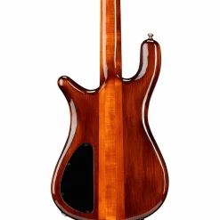 Spector NS2 Quilted Top/Fishman Electronics Tiger Eye