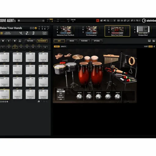 Steinberg Groove Agent 5