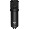 TASCAM TM-280 Large-Diaphragm Condenser Microphone