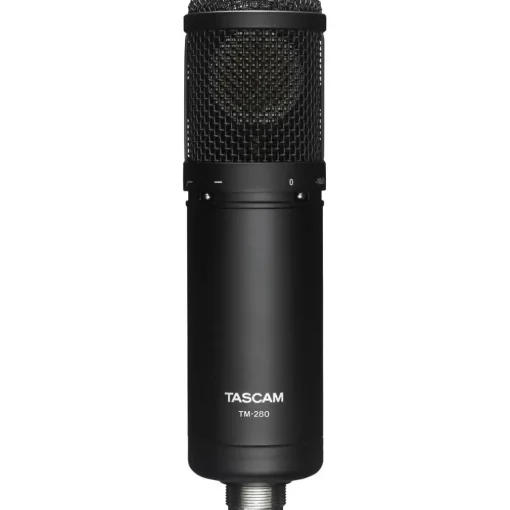 TASCAM TM-280 Large-Diaphragm Condenser Microphone