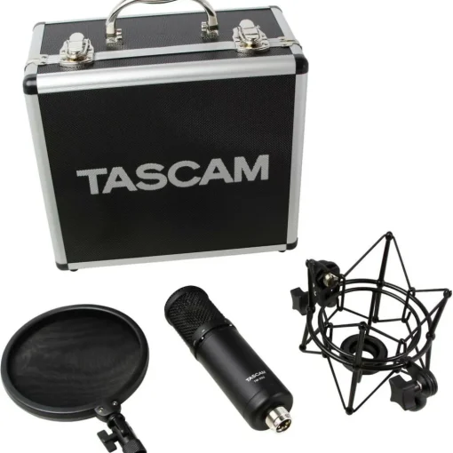 TASCAM TM-280 Large-Diaphragm Condenser Microphone