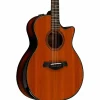Taylor Builder's Edition 914ce Grand Auditorium Acoustic-Electric Guitar Kona Edgeburst