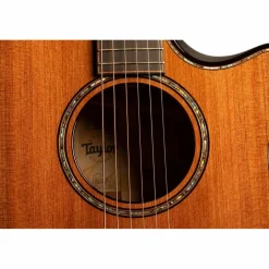Taylor Builder's Edition 914ce Grand Auditorium Acoustic-Electric Guitar Kona Edgeburst