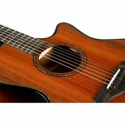 Taylor Builder's Edition 914ce Grand Auditorium Acoustic-Electric Guitar Kona Edgeburst