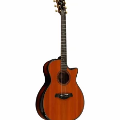 Taylor Builder's Edition 914ce Grand Auditorium Acoustic-Electric Guitar Kona Edgeburst