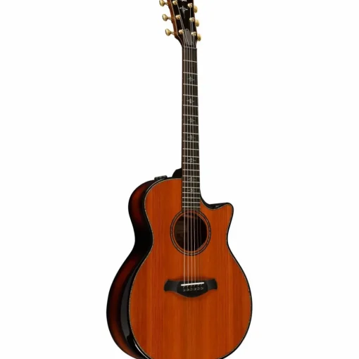 Taylor Builder's Edition 914ce Grand Auditorium Acoustic-Electric Guitar Kona Edgeburst