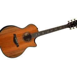 Taylor Builder's Edition 914ce Grand Auditorium Acoustic-Electric Guitar Kona Edgeburst