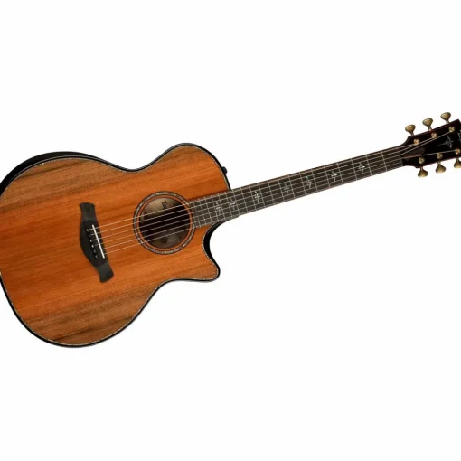 Taylor Builder's Edition 914ce Grand Auditorium Acoustic-Electric Guitar Kona Edgeburst