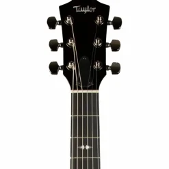 Taylor T5z Pro Acoustic-Electric Guitar Harbor Blue