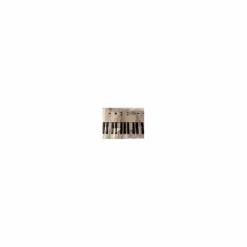 Used Alesis Recital Digital Piano