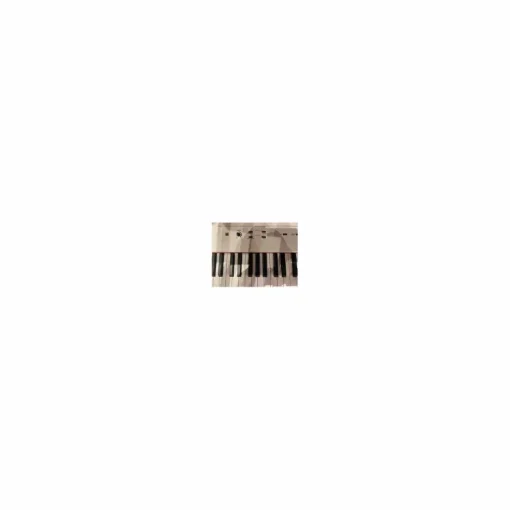Used Alesis Recital Digital Piano