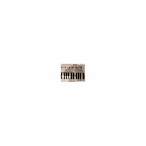 Used Alesis Recital Digital Piano