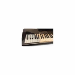 Used Casio Cdp230r Digital Piano