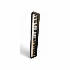 Used Casio Cdps110 Digital Piano