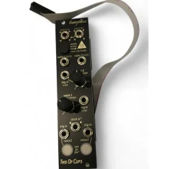 Used Endorphin.es TWO OF CUPS Sound Module